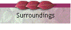 Surroundings