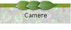 Camere