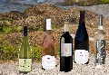 Vins